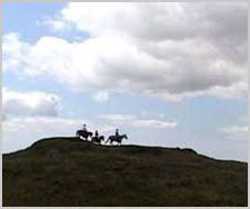 Ireland-Sligo/Donegal-Riding by the Sea